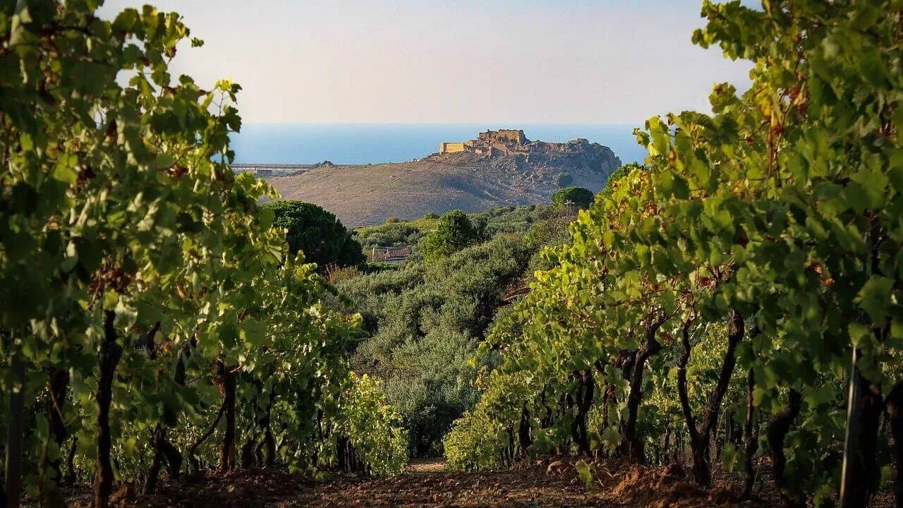 Het mooie uitzicht vanaf een wijngaard op Sicilië