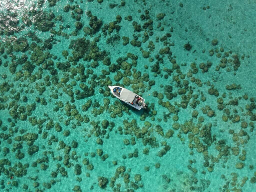 Snorkelen op Mauritius: 5x de beste snorkelplekken!