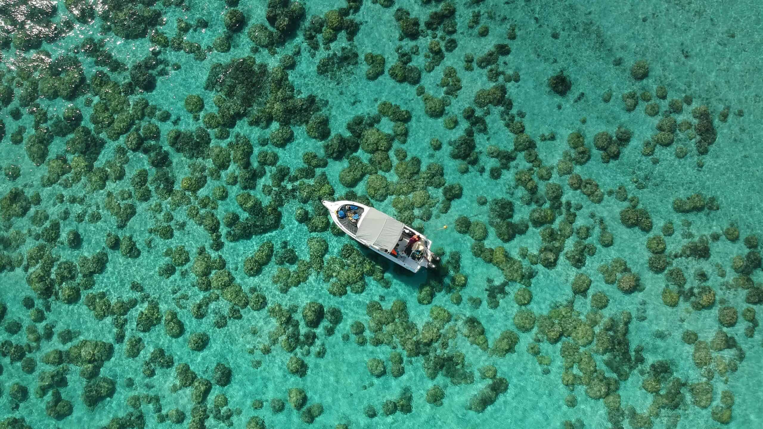 Ontdek de beste snorkelplekken op Mauritius! Snorkelen op Mauritius / kleinschalige hotels