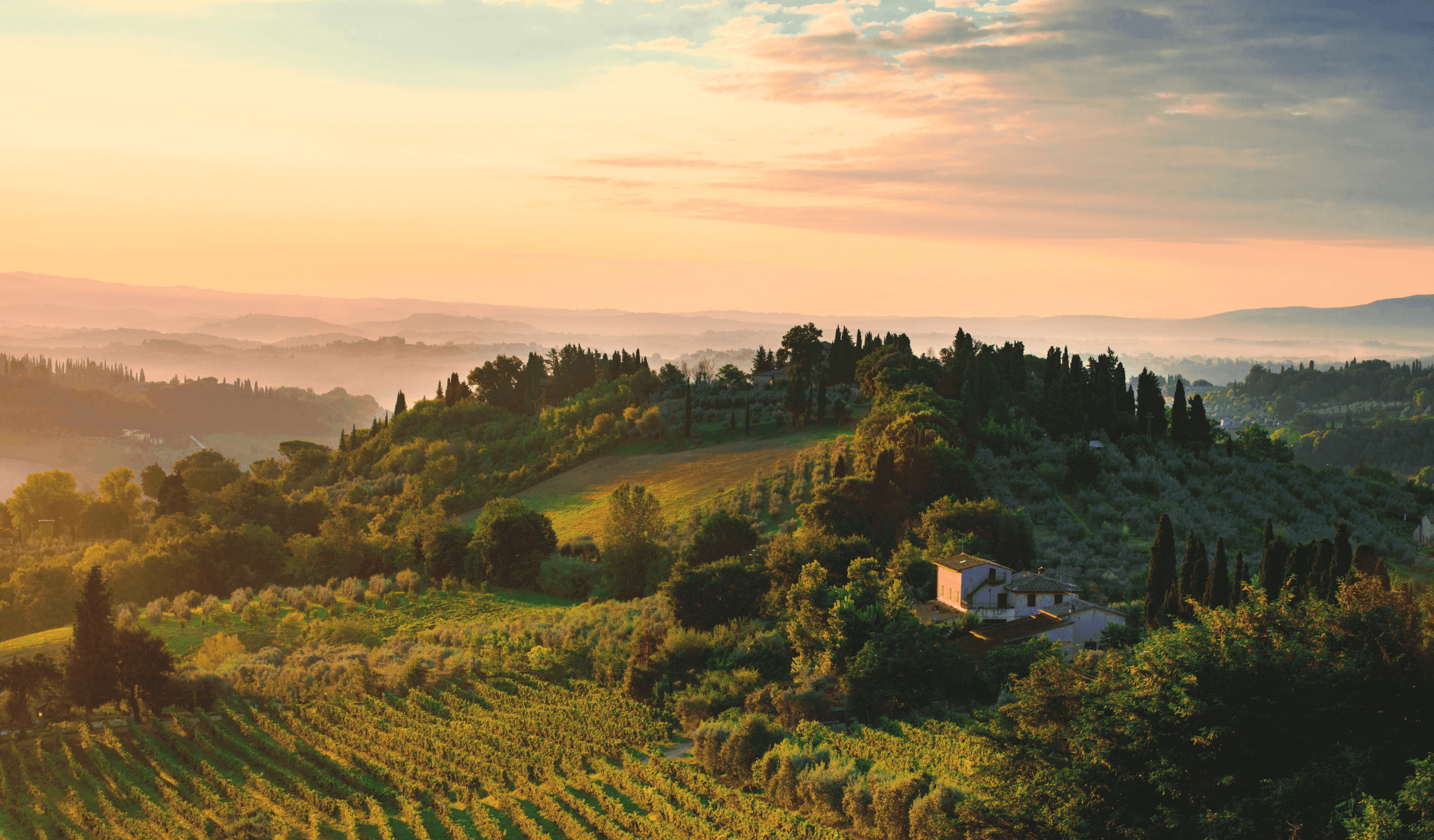 Glooiende heuvels Toscane / kleinschalige hotels